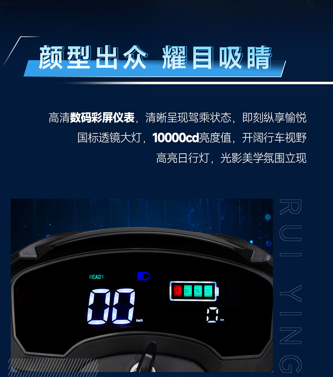 銳鷹_02.jpg
